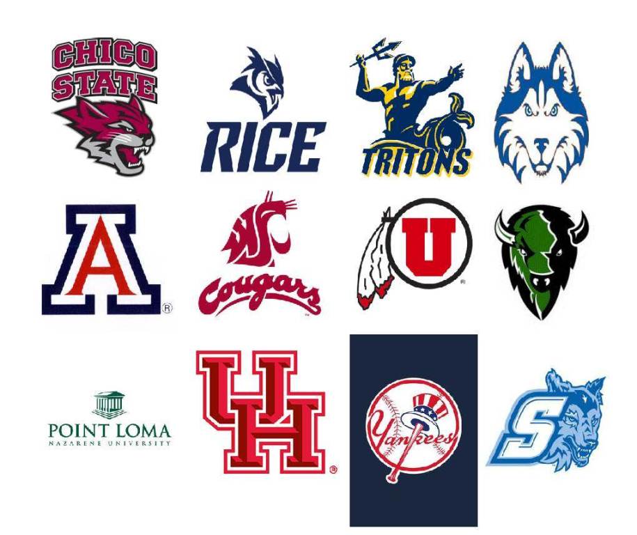 OCC baseball sends 16 players to next level
