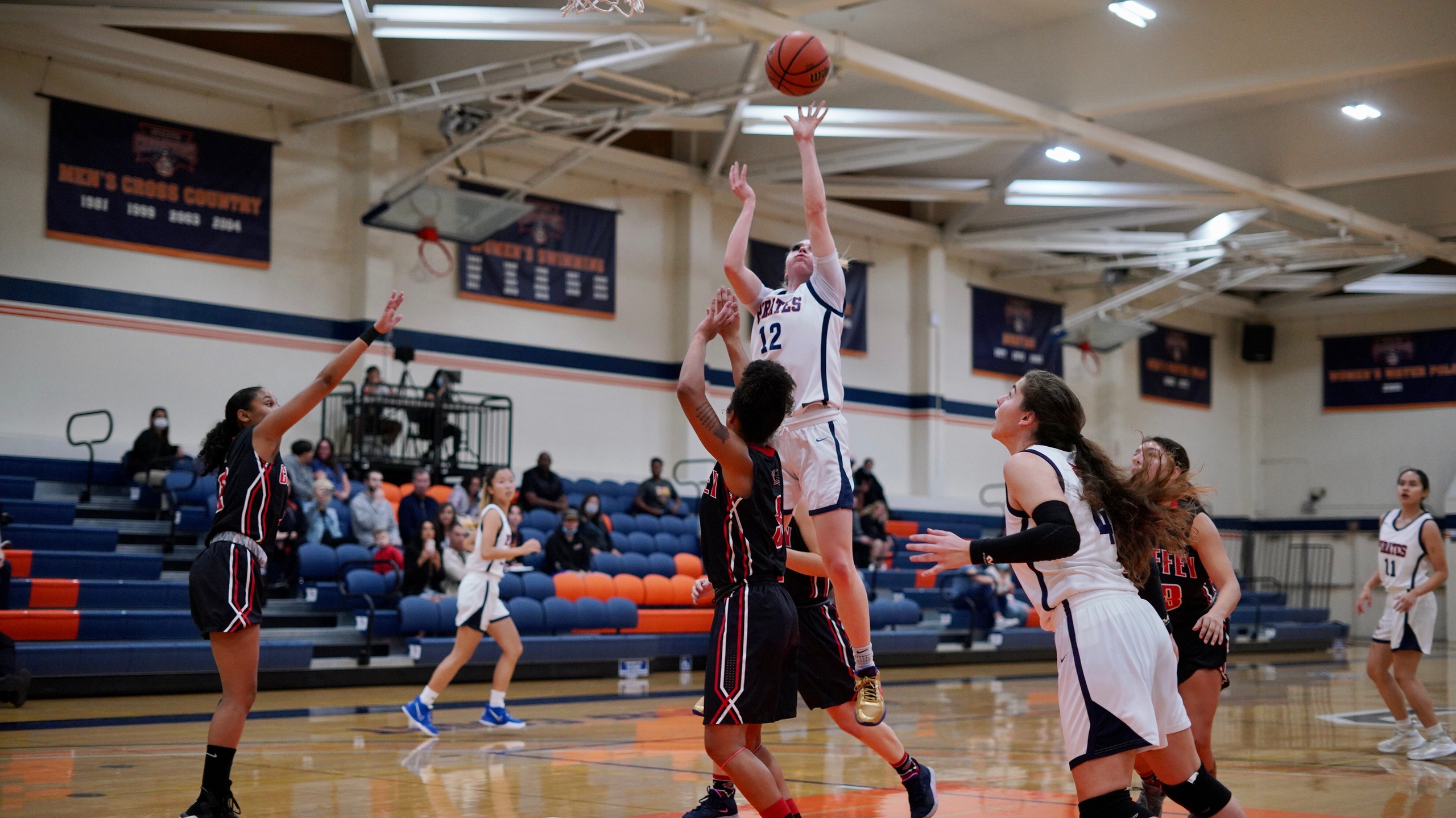 Photo courtesy of Steven Guersch.