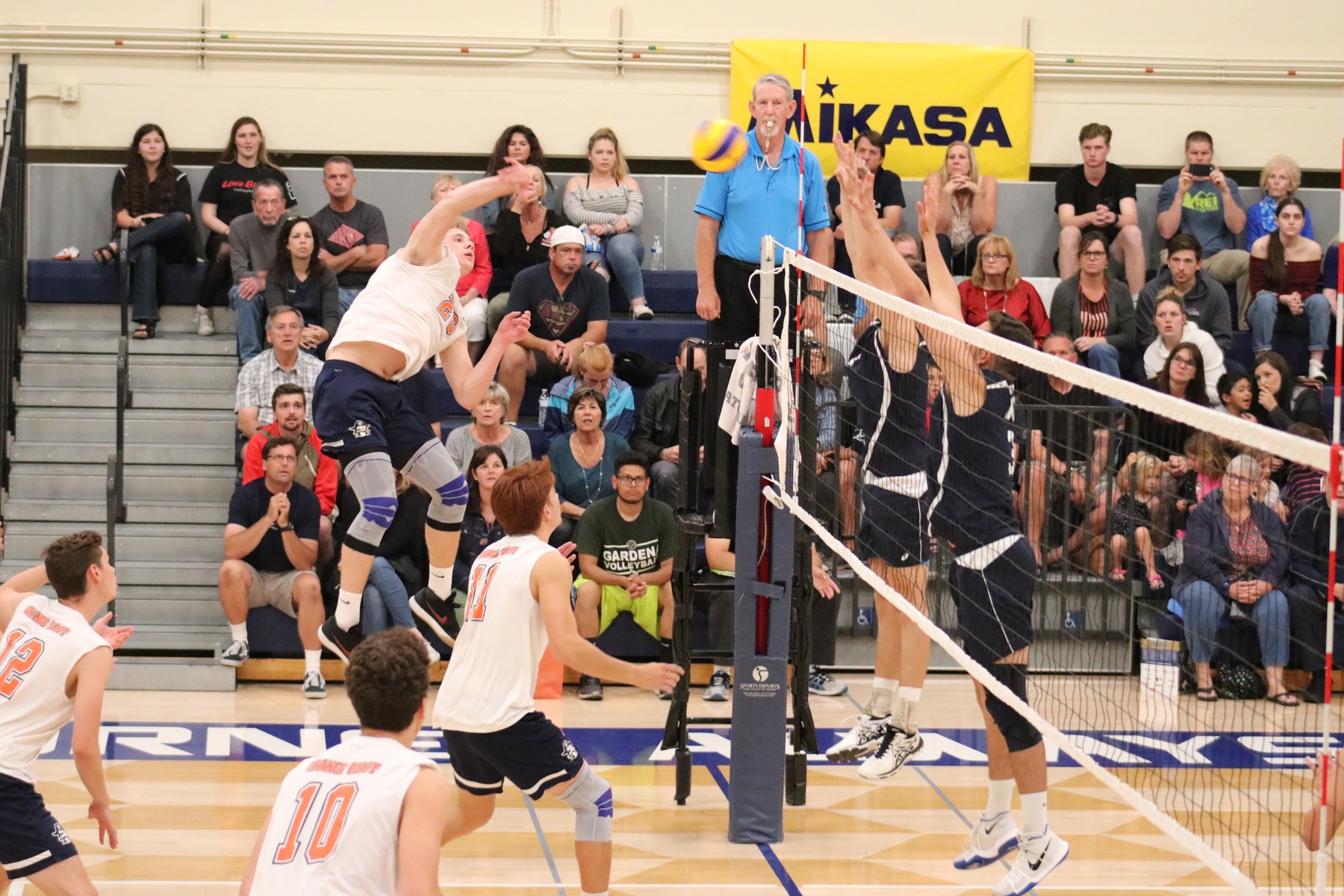 McCauley heading to UC San Diego for 2019
