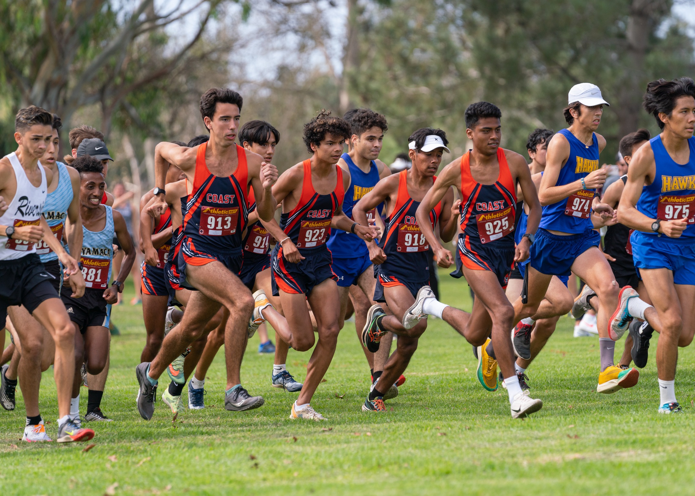 Photo courtesy of Steven Guersch