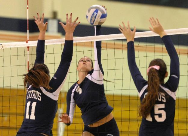 Pirates sweep Owls; will host Pasadena in next round