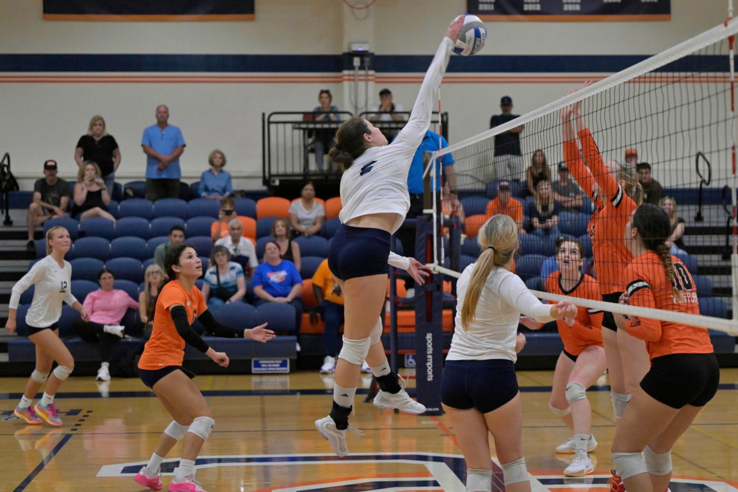 Cover photo courtesy of Peter Mondrick. Story photo courtesy of Liam Davis.