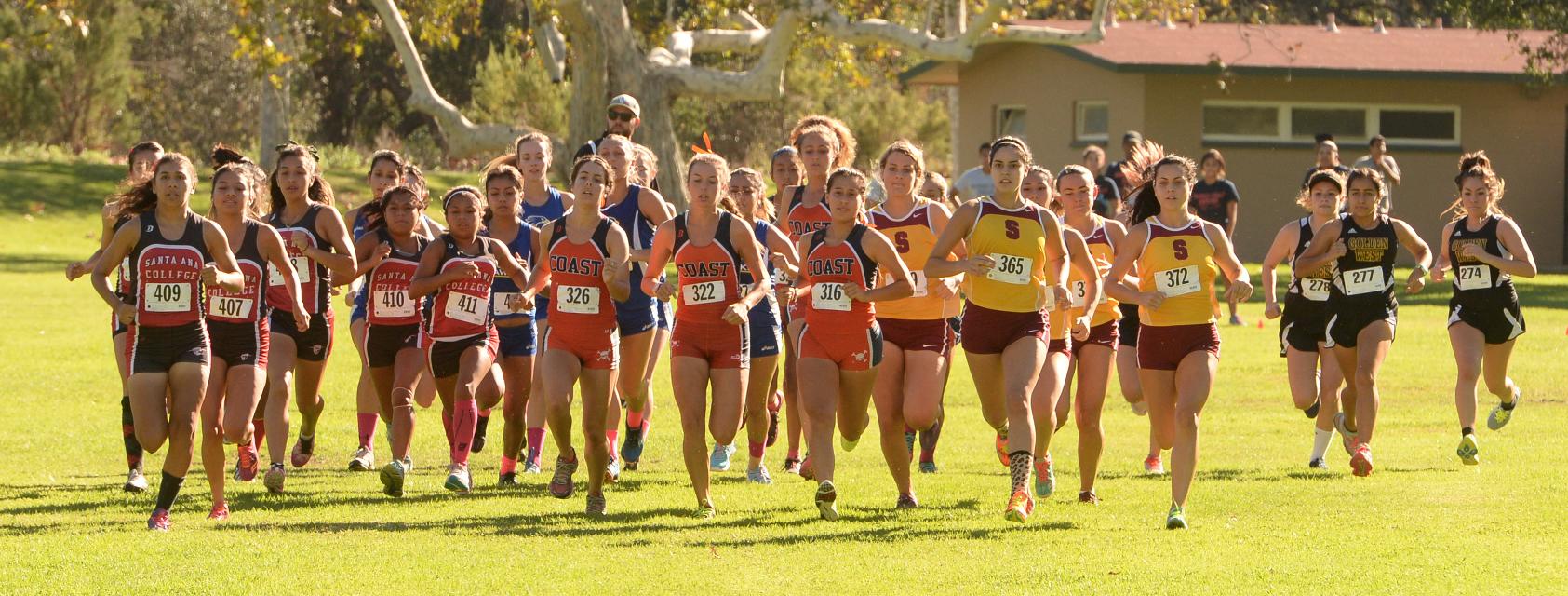 Allen leads Pirates to impressive team score at Brubaker Invitational